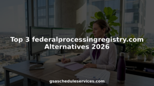 Business analyst comparing federal consulting options