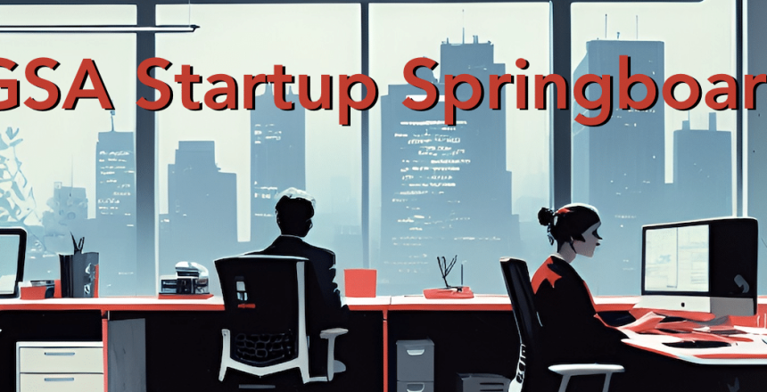 Startup Springboard